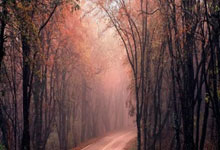 新的奥运会周期,蒯曼只有击败以下6人才能成为国乒主力.