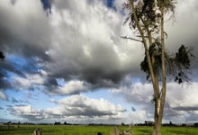 虎扑体育官网:帕瓦尔:我在拜仁成长,但现在我要为国米三冠王.